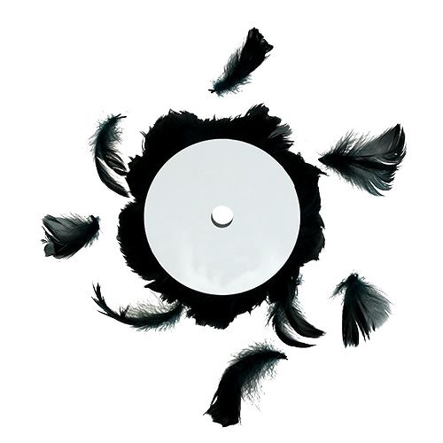 Floristik24 Fio com mola preta 10m