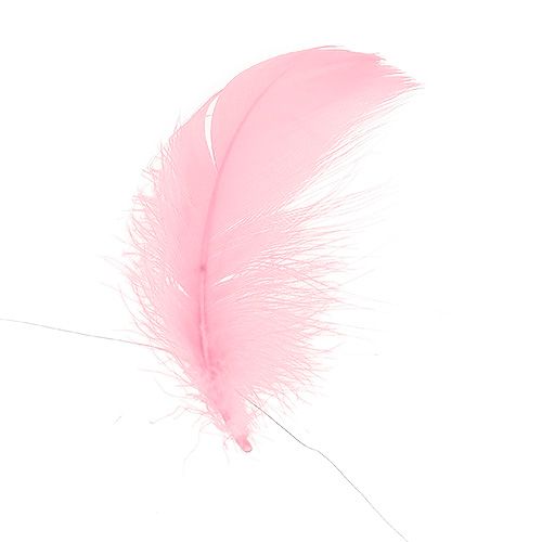 Floristik24 Arame com penas rosa claro 10m