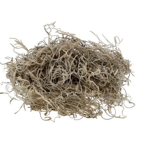 Musgo da selva 250g natural