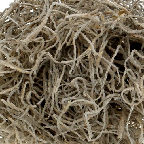 Floristik24 Musgo da selva 250g natural