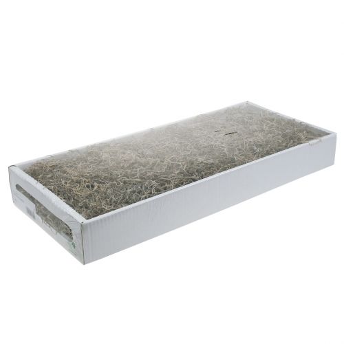 Floristik24 Musgo da selva 250g natural