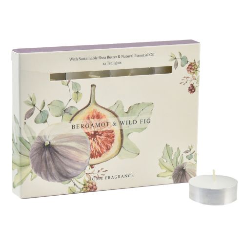 Floristik24 Velas perfumadas Bergamota Wild Fig luzes de chá Ø3,5cm 12 unidades