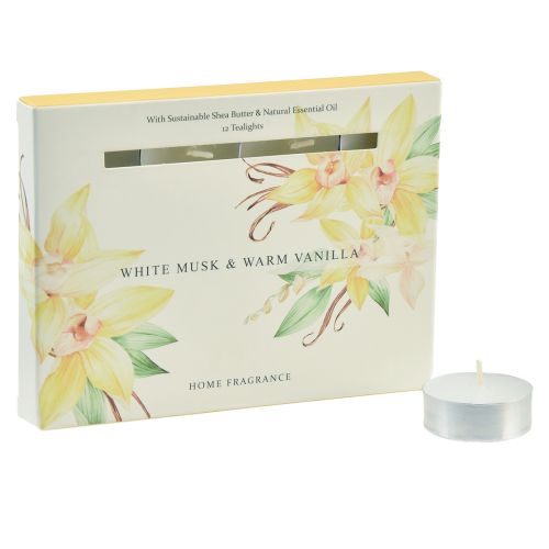 Velas perfumadas baunilha almíscar branco luzes de chá Ø3,5cm 12 un