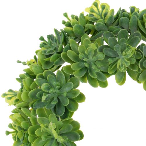 Floristik24 Coroa de flores Echeveria verde Ø18cm 4pcs