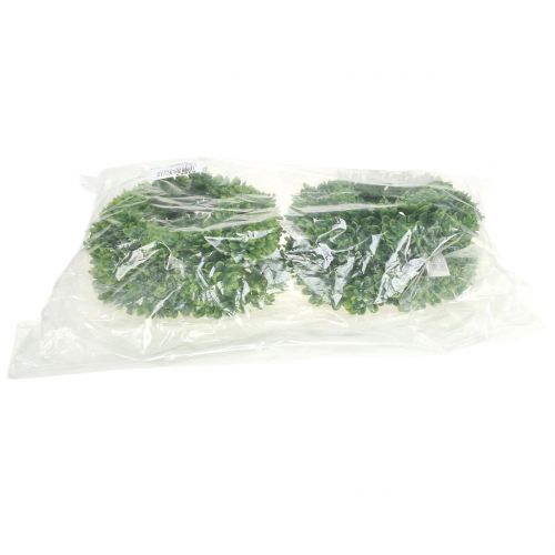 Floristik24 Coroa de flores Echeveria verde Ø18cm 4pcs