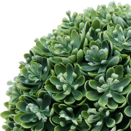 Floristik24 Bola Echeveria verde artificial Ø18cm