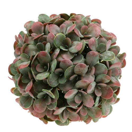 Floristik24 Bola Echeveria artificial verde, vermelho Ø22cm