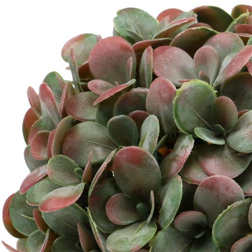 Floristik24 Bola Echeveria artificial verde, vermelho Ø22cm
