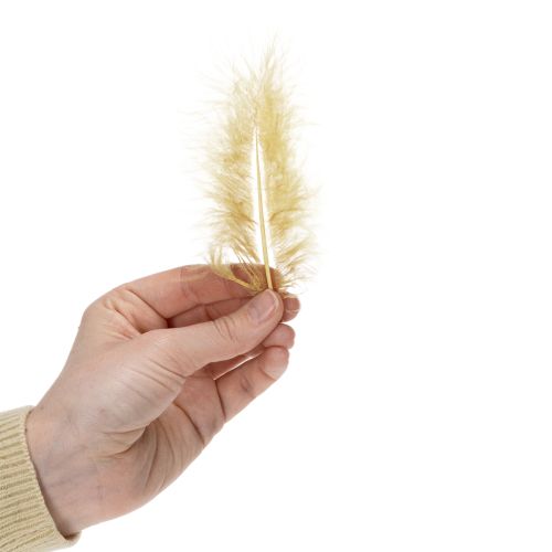 Itens Penas verdadeiras para artesanato na cor amarelo claro, 5cm – 10cm, 20g