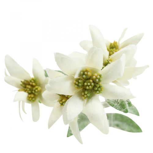 Floristik24 Edelweiss flor artificial branca flocada 38cm