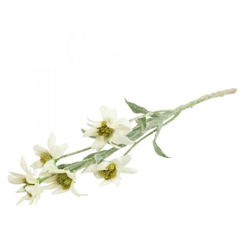 Floristik24 Edelweiss flor artificial branca flocada 38cm