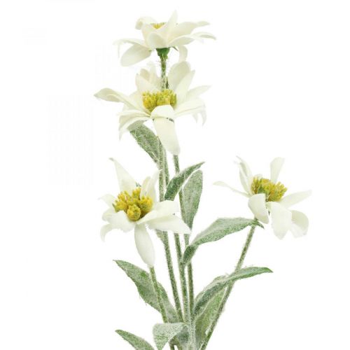Floristik24 Edelweiss flor artificial branca flocada 38cm