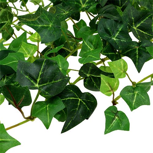 Floristik24 Ivy gavinha verde 70cm