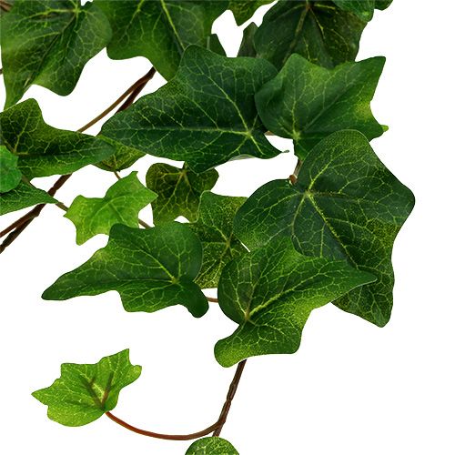 Floristik24 Hera artificial verde 60cm
