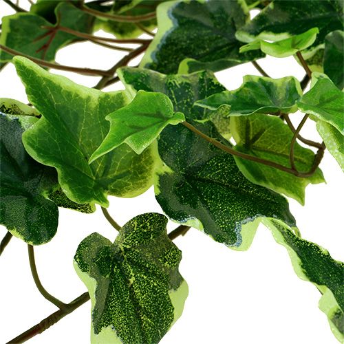 Floristik24 Cabide Ivy 80cm branco e verde