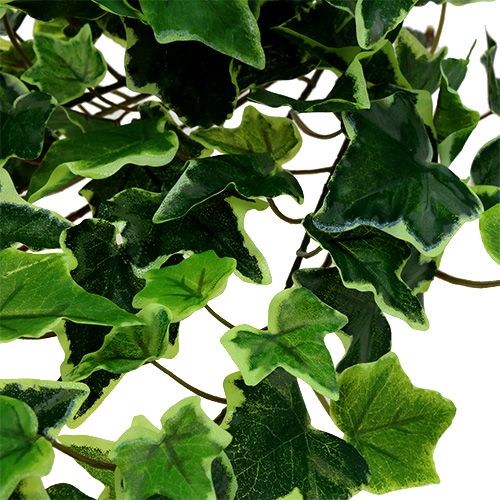 Floristik24 Cabide Ivy branco-verde 70cm