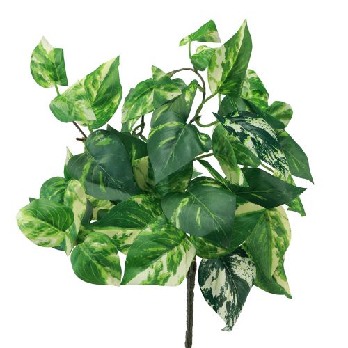 Itens Planta de hera Pothos ivy gavinha de ouro artificial 50cm