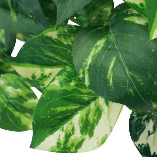 Floristik24 Planta de hera Pothos ivy gavinha de ouro artificial 50cm