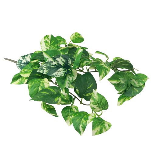 Floristik24 Planta de hera Pothos ivy gavinha de ouro artificial 50cm
