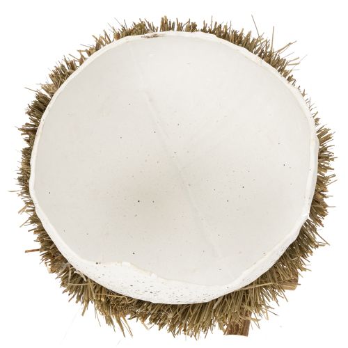 Itens Ninho de Páscoa em formato de ovo para decoração de primavera, 11 cm, conjunto com 4 peças