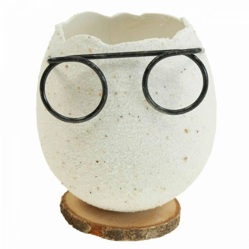 Floristik24 Ovo com copos decorativos vaso branco decoração de Páscoa Ø7,5cm Alt.9cm 6 unid.