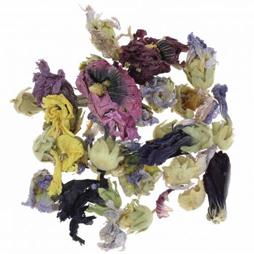 Floristik24 Conjunto de artesanato de decoração seca real marshmallow natural 300g potpourri de flores