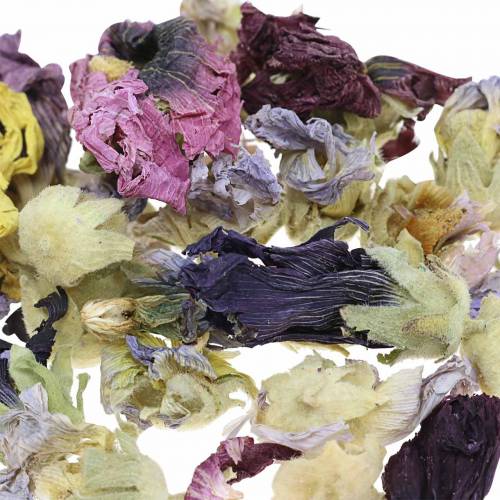 Itens Conjunto de artesanato de decoração seca real marshmallow natural 300g potpourri de flores