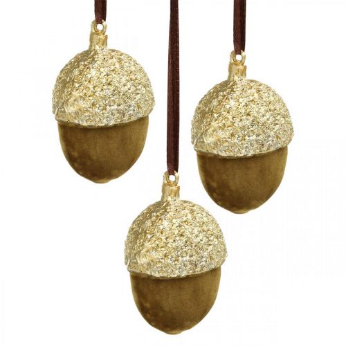 Floristik24 Bolotas para pendurar, Advento, decoração de árvores, decoração de outono A6.5cm Ø4cm 6 peças