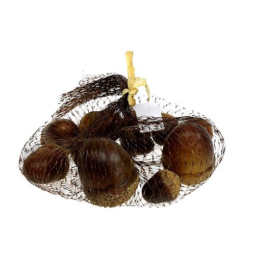 Floristik24 Bolotas misturadas em uma rede 12pcs