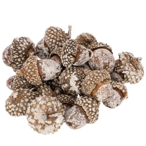 Bolotas, produto natural para decoração, pintadas de branco, 1-3cm, 300g comprar | Floristik24.pt
