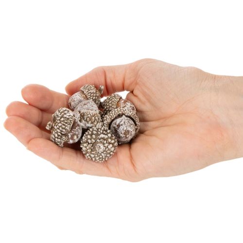 Bolotas, produto natural para decoração, pintadas de branco, 1-3cm, 300g | Floristik24.pt