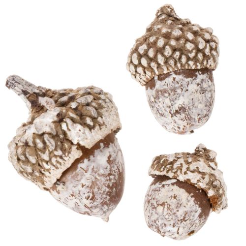 Bolotas, produto natural para