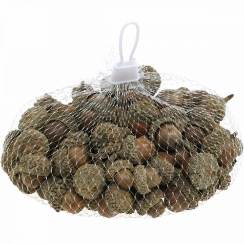 Itens Bolotas para decoração, decorações de outono, frutas de outono claro Ø1,5 - 2,5cm L1,5 - 3cm 300g
