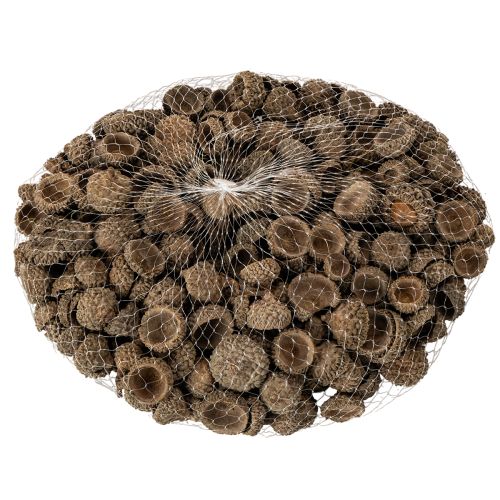 Vasos decorativos em forma de cúpula de bolota, 2 cm, 300 g | Floristik24.pt