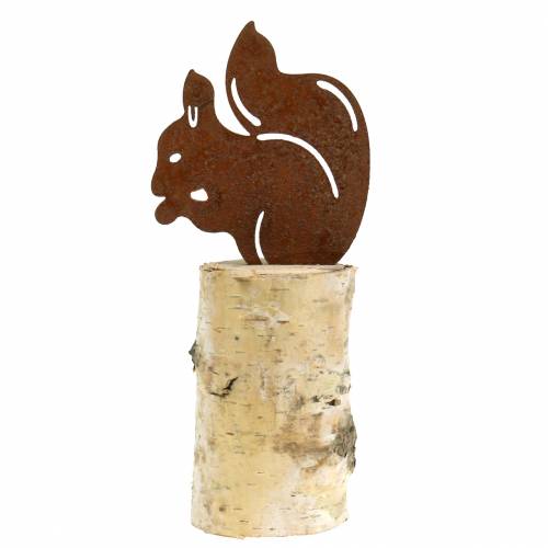 Floristik24 Pátina de esquilo no tronco H22cm