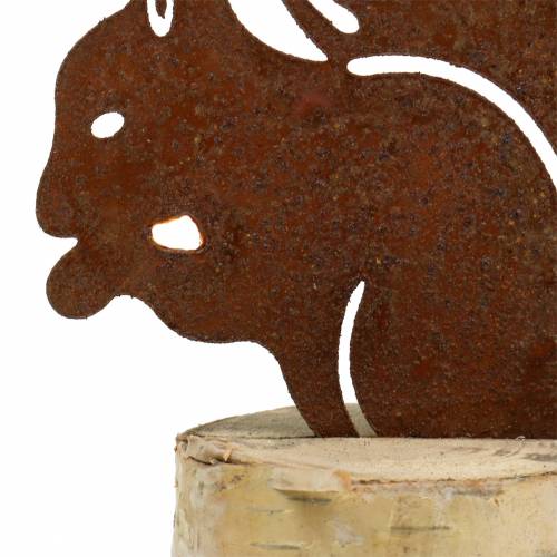 Floristik24 Pátina de esquilo no tronco H22cm