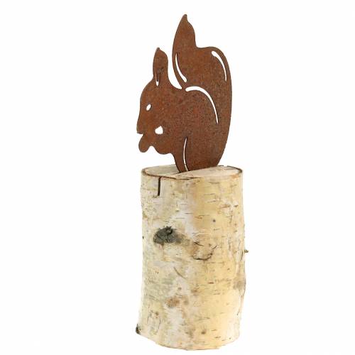 Floristik24 Pátina de esquilo no tronco H22cm