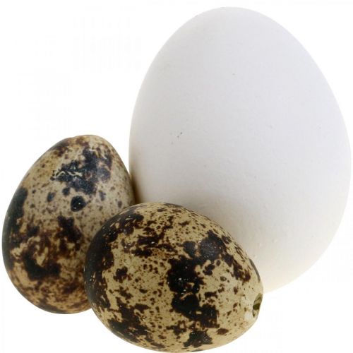 Floristik24 Mistura de ovos de decoração ovos de codorna e ovos de galinha Ovos de páscoa estourados