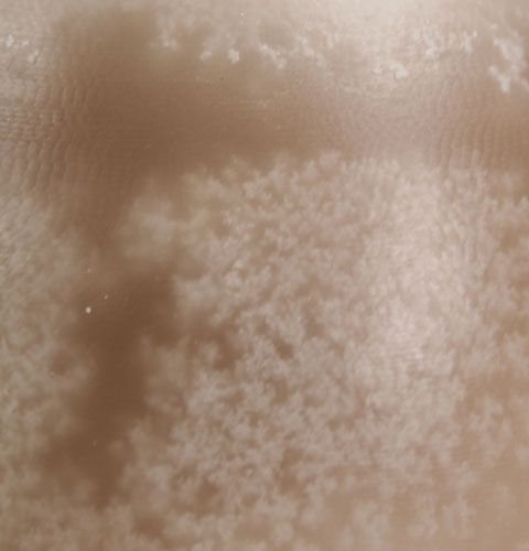 Floristik24 Vela decorativa ovo Sahara 14cm