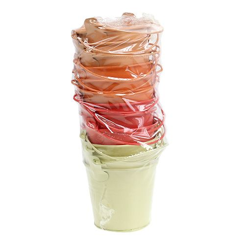 Floristik24 Balde Laranja Mix Ø8cm Alt.7cm 12pcs