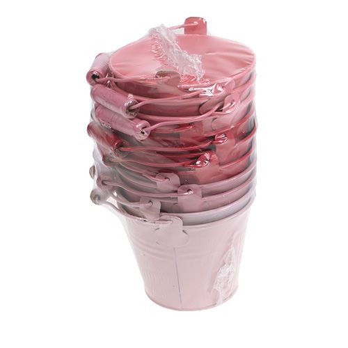 Floristik24 Balde rosa mistura Ø10cm Alt.8cm 10pcs