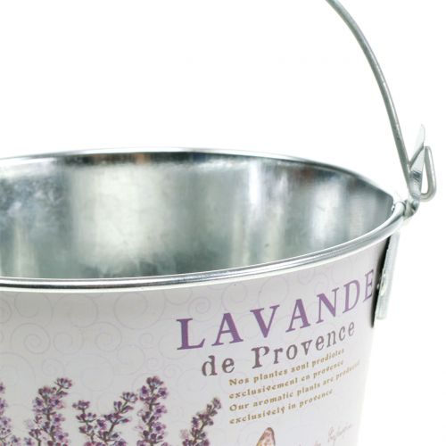 Floristik24 Balde para plantas lavanda Ø17cm Alt.16cm