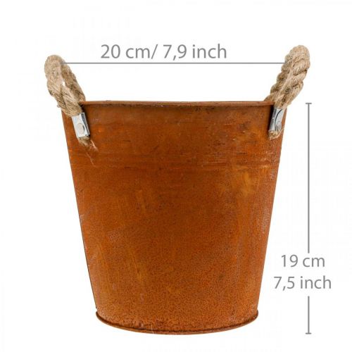 Floristik24 Pote decorativo com asas, decoração de outono, pátina de metal tigela Ø20cm H19cm