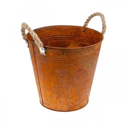 Floristik24 Plantador com asas, tigela para plantas, recipiente de metal com decoração de ferrugem Ø25cm A24cm
