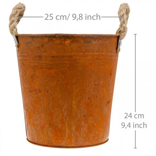 Floristik24 Plantador com asas, tigela para plantas, recipiente de metal com decoração de ferrugem Ø25cm A24cm