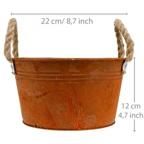 Floristik24 Pote de metal com alças de corda, tigela para plantas, outono, pátina Ø22cm H12cm