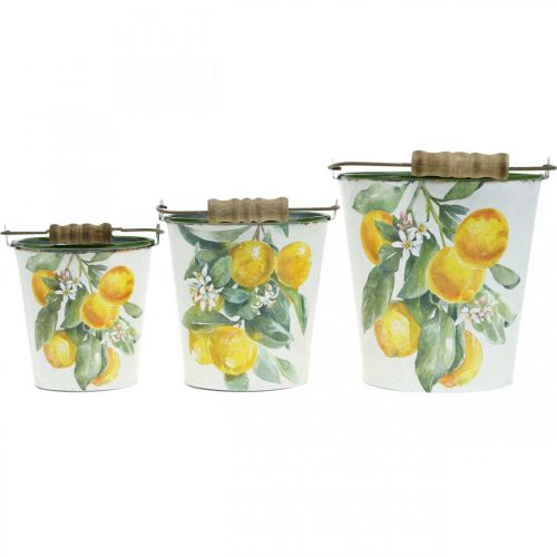 Floristik24 Balde decorativo limões floreira mediterrânea Ø13,5/11/9cm A14/11,5/cm conjunto de 3