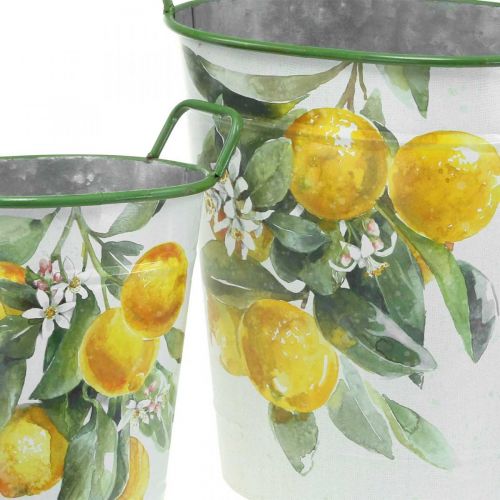 Itens Cuba mediterrânica em lata, floreira com motivo limão branco, verde, amarelo A43,5/34cm L36,5/27,5cm conjunto de 2