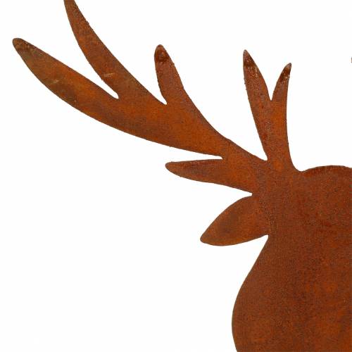 Floristik24 Patina de alce para furar Alt.58cm
