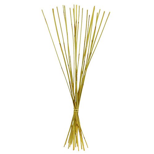 Floristik24 Bastões decorativos Elefante Reed Amarelo 20 un